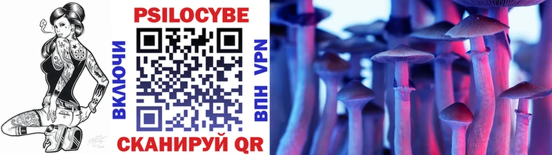 Псилоцибиновые грибы Cubensis купить наркотик Нюрба